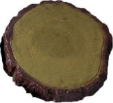 Древесный спил большой