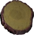 Древесный спил средний